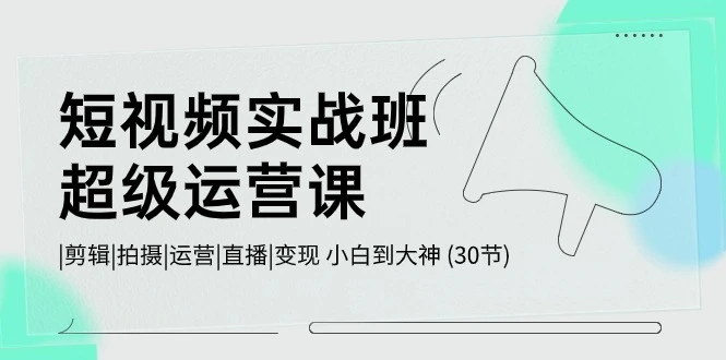 短视频实战班-超级运营课,|剪辑|拍摄|运营|直播|变现 小白到大神 (30节)